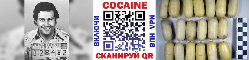 COCAIN Fish Scale  Купить где  Бор 