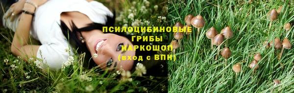 мяу мяу мука Богородицк